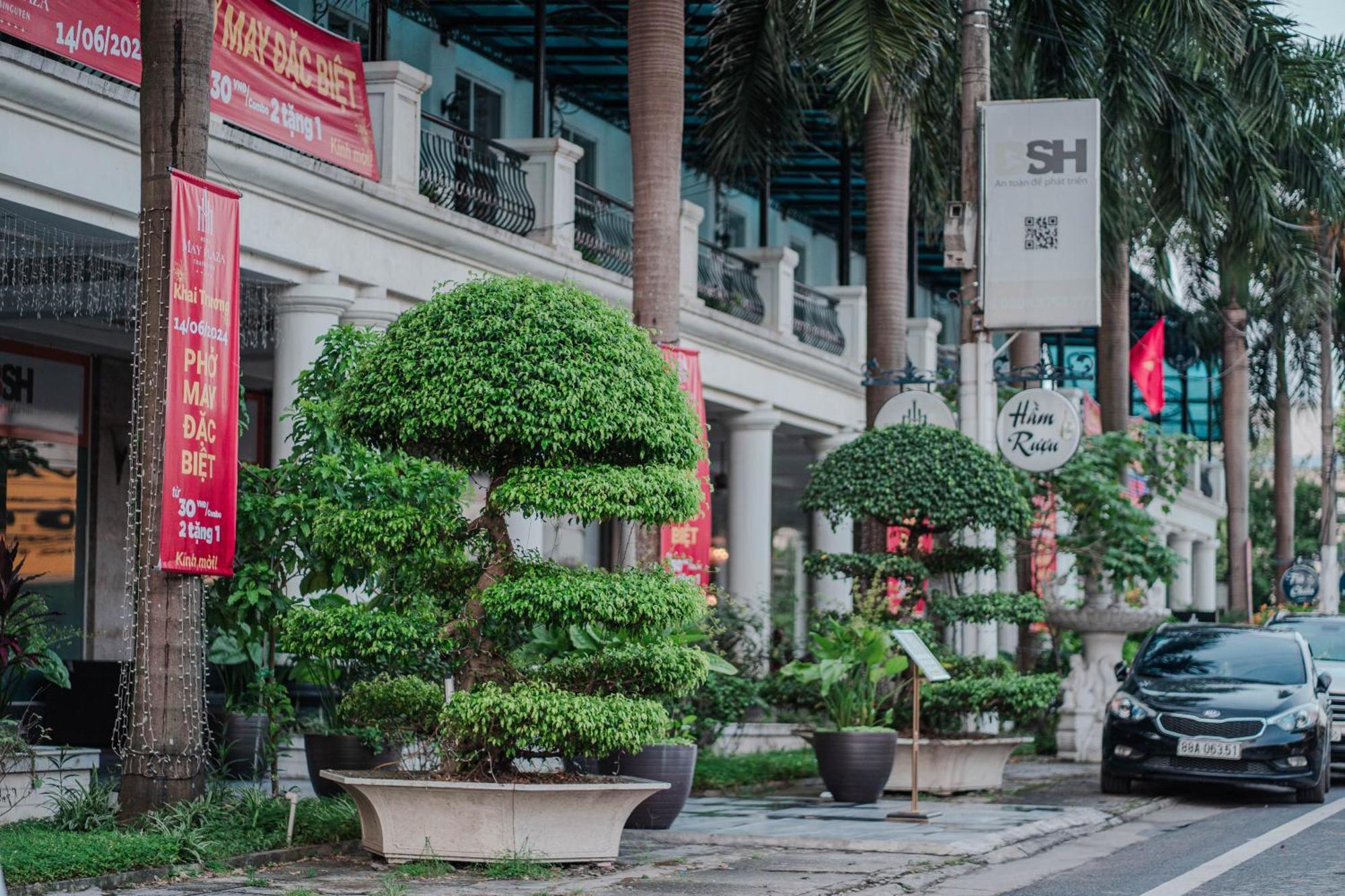 May Plaza Hotel Thai Nguyen Exterior photo